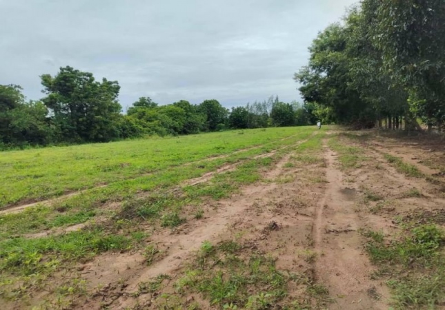 �ź��� �� A House property