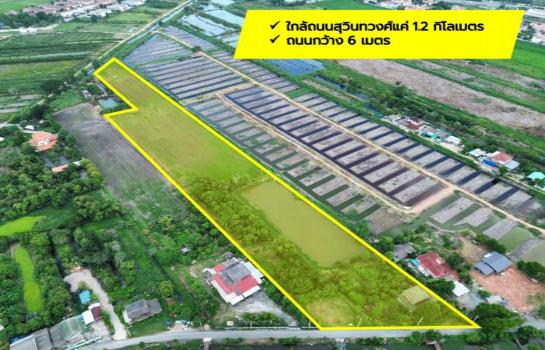 ��ا෾ �� The Vinvestor