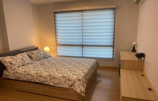 �ҧ���� �� M Property