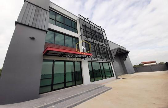 ���١�� �� Kong property