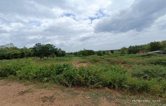 ྪú�ó� �� zionasset1