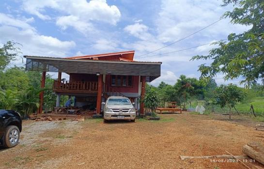 ྪú�ó� �� zionasset1