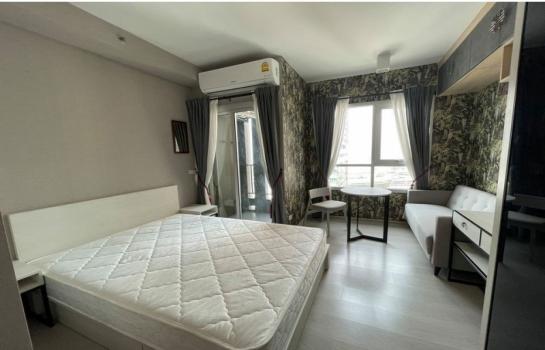 �Ѳ�� �� easythaihome