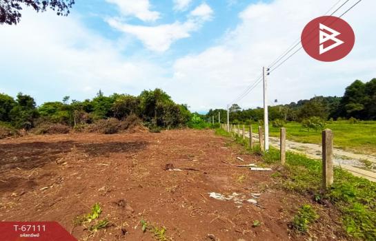 ������� �� The Best Property Agent