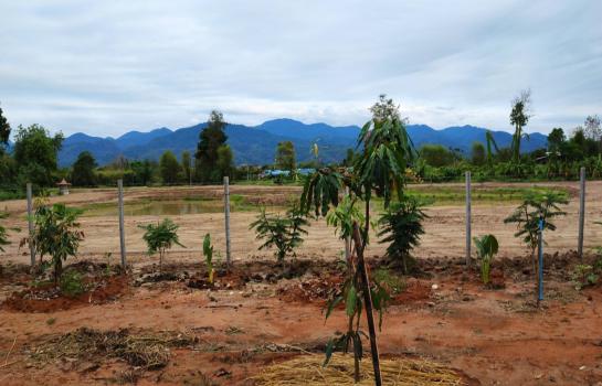 ��§���� �� Sararat_dai