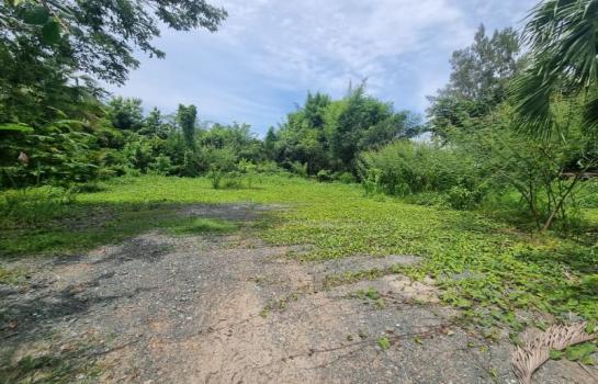 �ѹ���� �� Sawasdee