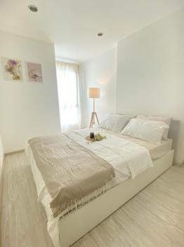 �ҧ���� �� M Property