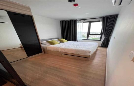 �ҧࢹ �� M Property