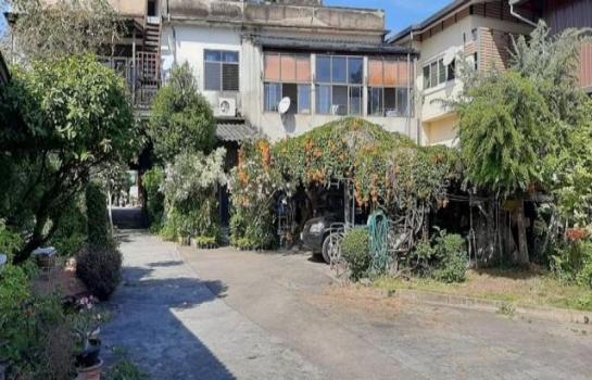 ��·��Թ bigc