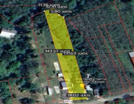 ���� �� incube