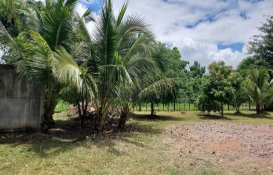 �ҧ�� �� northern1