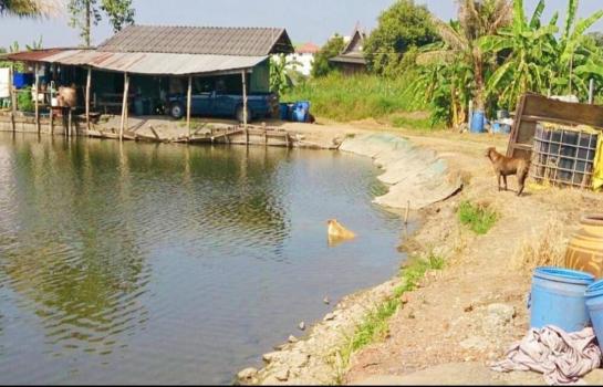 �Ҵ��кѧ �� Sararat_dai