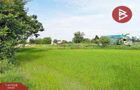 �ط�¸ҹ� �� The Best Property Agent