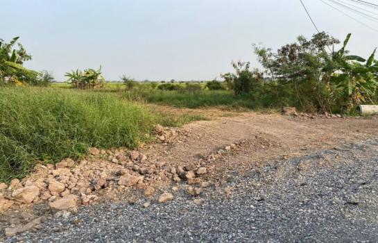 ���١�� �� Sararat_dai