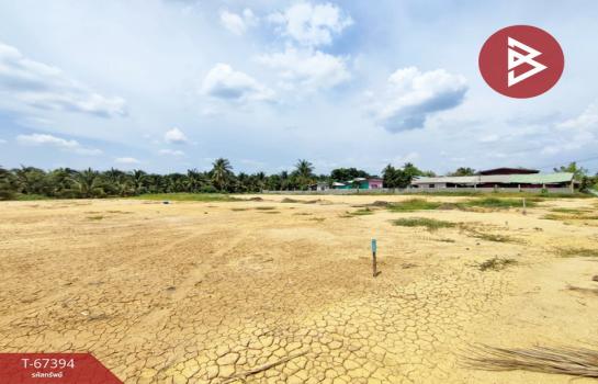 ��û�� �� The Best Property Agent