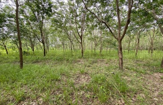 �غ��Ҫ�ҹ� �� Noname2023