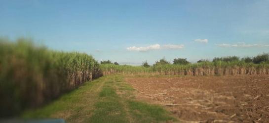 �����¹��� ���˹����ѧ�������Ѿ��