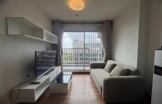 ���ͧ �� Theproperty