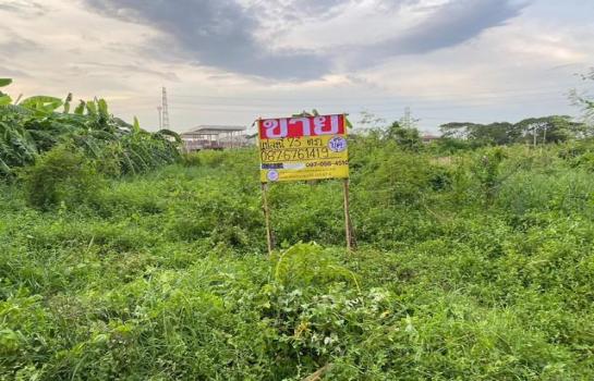 ������ �� zionasset1