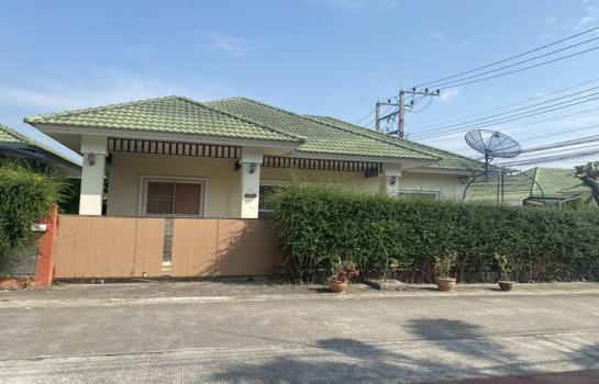 ��ҹ�� �� Noname2023