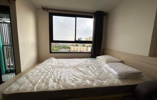 �ҧ�л� �� All Living