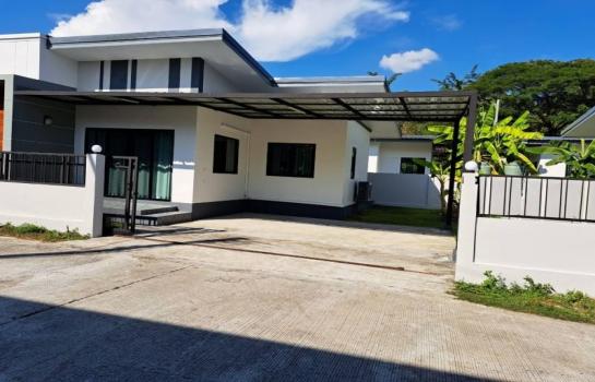 ��ҹ�ѹ��ҵͧ ��§����