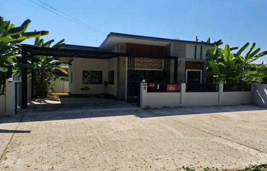 ��ҹ�ѹ��ҵͧ ��§����