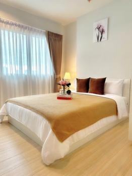 ��ا෾ �� M Property