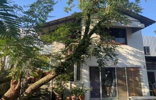 �ҧ�� �� �����ԡ�