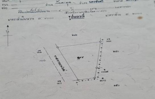 ��ê����� �� sopa