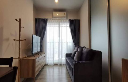 �ҧ�л� �� All Living