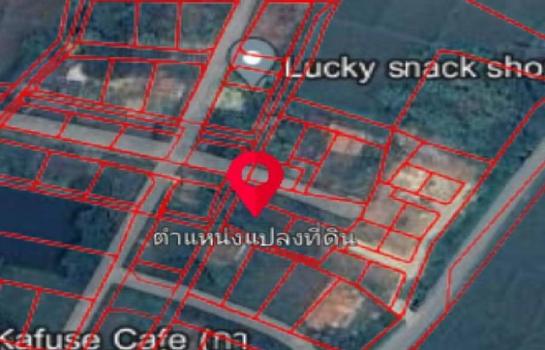 ������� �� sopa