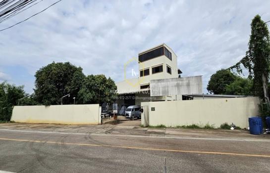 �ҧ���� �� Kong property