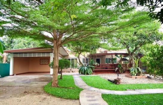 �ѹ���� �� northern1