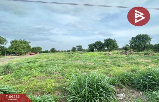 ����Ҫ���� �� The Best Property Agent