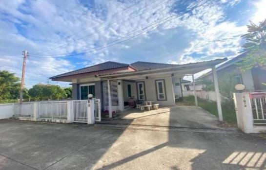 ����� �� onanong khumaphao