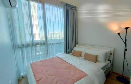 ���¢�ҧ �� easythaihome