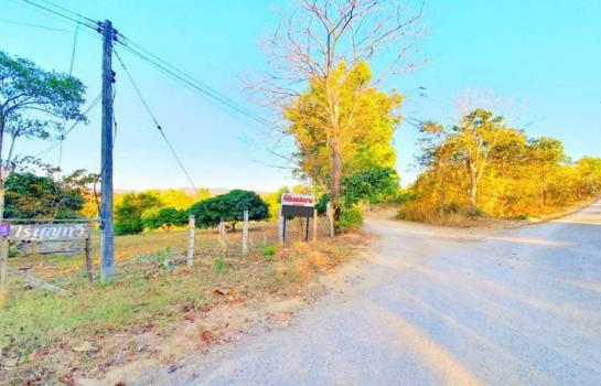 ����ʹ �ҡ �� Sararat_dai