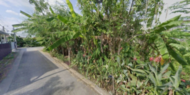 �ҧࢹ �� HarrisonTH