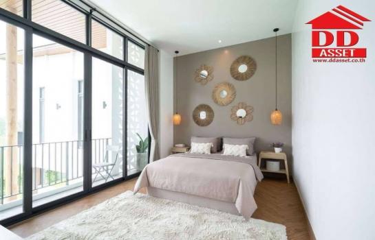 ��ҹ⫹������ ��§����