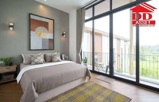 ��ҹ�������û ��§����