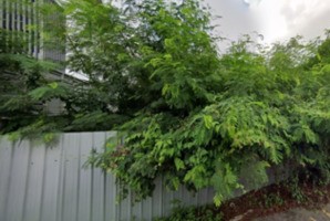 ����Ҵ����� �� HarrisonTH