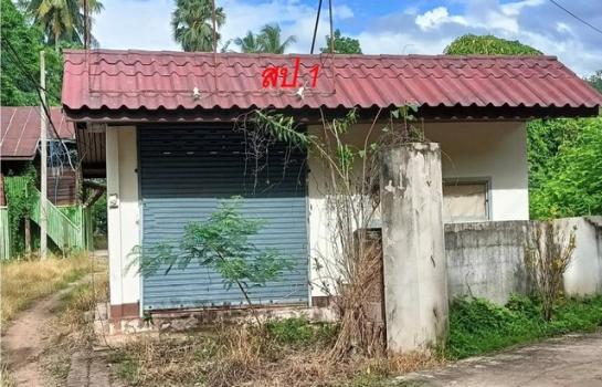 �����ͧ�͹ �� panaya.opalopal