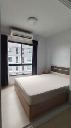 ������ �͹�