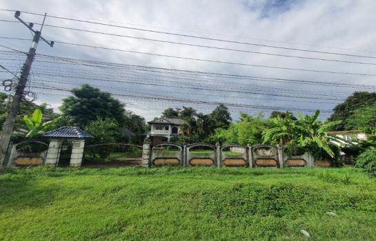 ��º�ҹ ���������