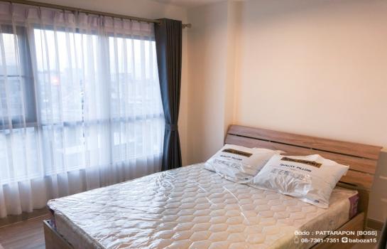 ��ا෾ �� M Property