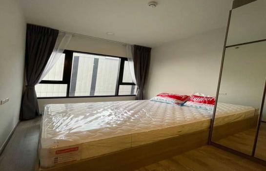 �ҧࢹ �� M Property