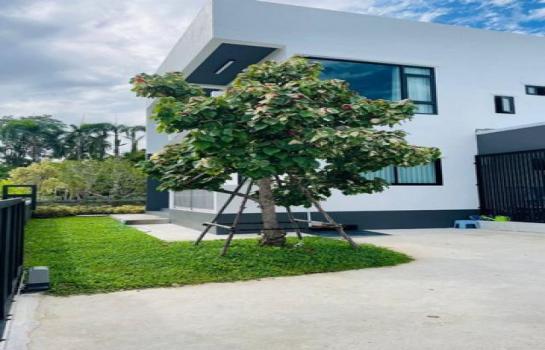 �ҧ�� �� northern1