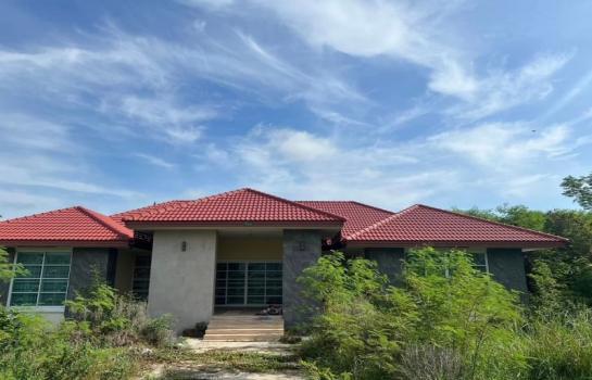 �ç�ҹ 9 ���