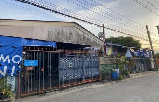 ���Թ��ا෾ �� asangha PL